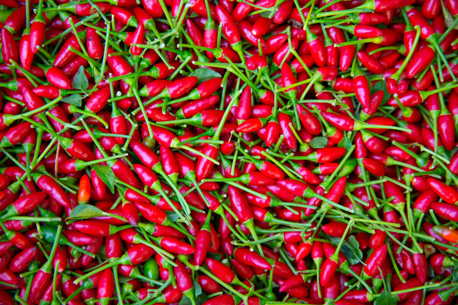 Add Some Spice Mural Wallpaper