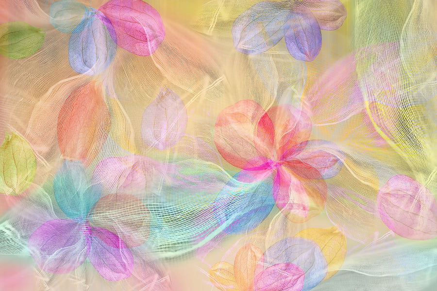 Pastel Fantasy Mural Wallpaper