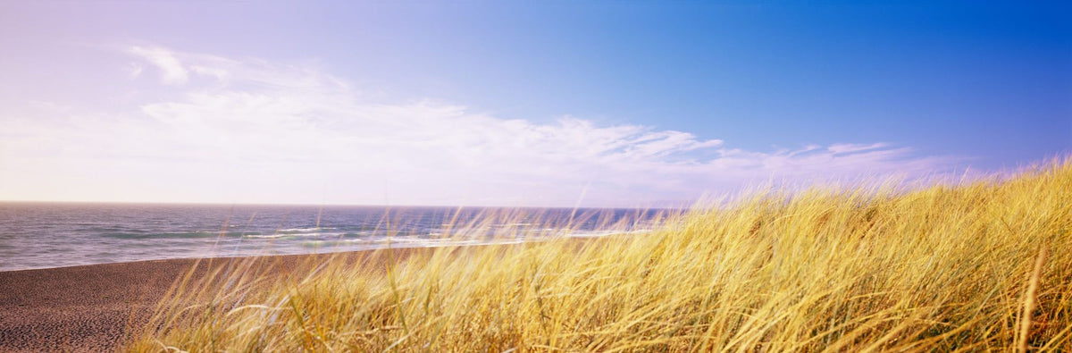 Dune Whispers Mural Wallpaper - pure wallpaper artwork
