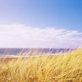 Dune Whispers Mural Wallpaper - pure wallpaper artwork