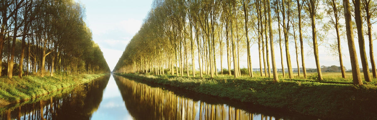 Riverside Mirror Mural Wallpaper - pure wallpaper artwork