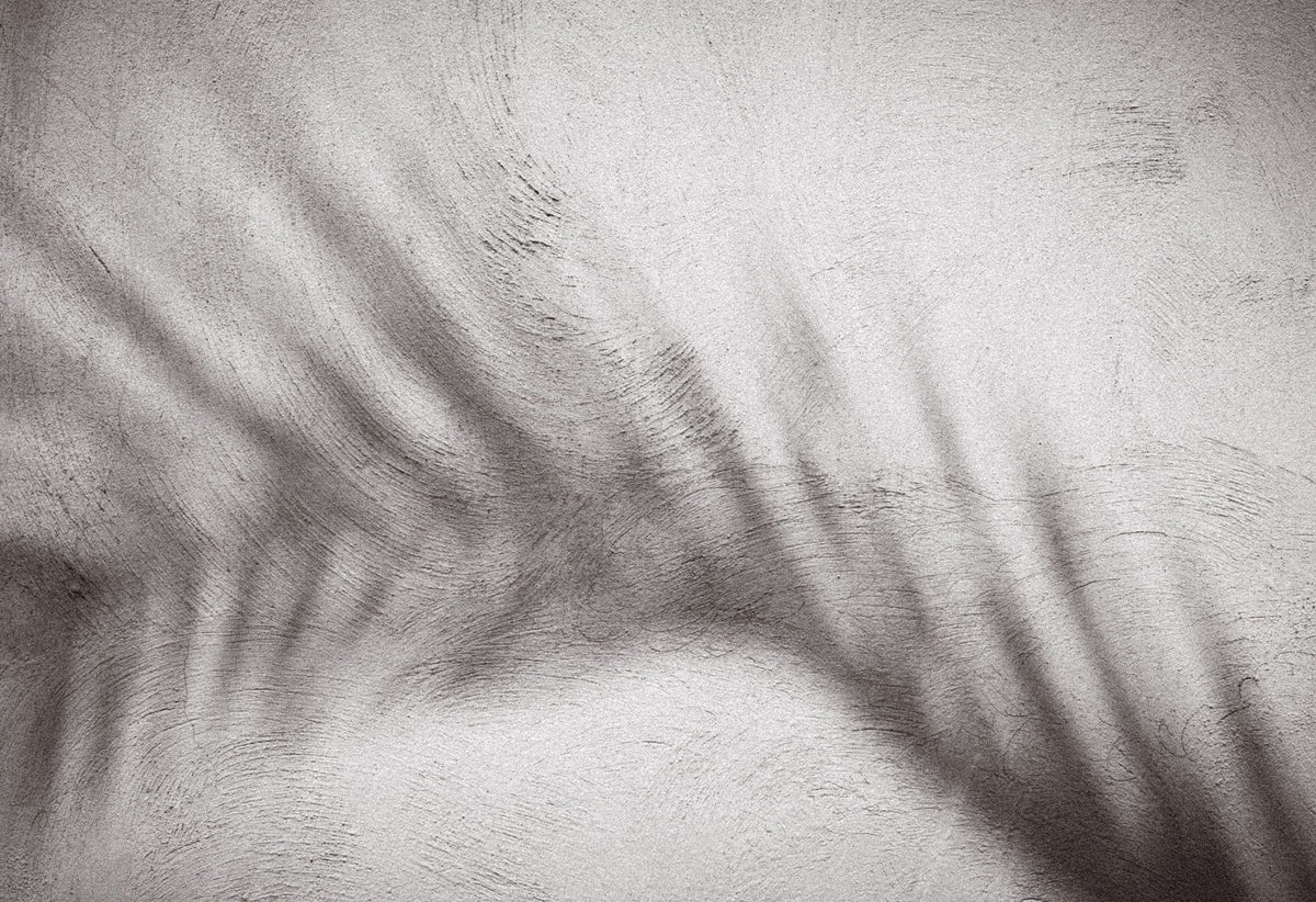 Palm Shadow Afternoon II Mural Wallpaper - pure wallpaper artwork