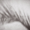 Palm Shadow Afternoon II Mural Wallpaper - pure wallpaper artwork