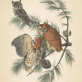 Forest Owls I Mural Wallpaper - pure wallpaper artwork
