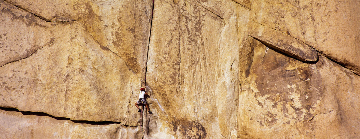 Vertical Ascent Mural Wallpaper - pure wallpaper artwork