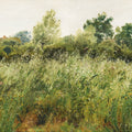 Meadow Whisper, Chlorophyll Mural Wallpaper - pure wallpaper artwork