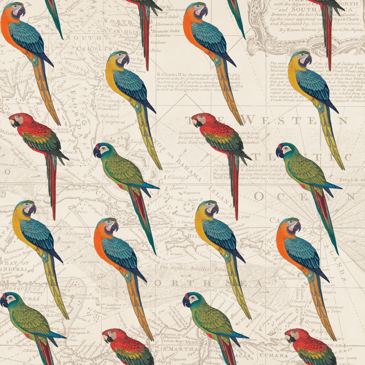 Parrot Paradise II Mural Wallpaper - pure wallpaper artwork