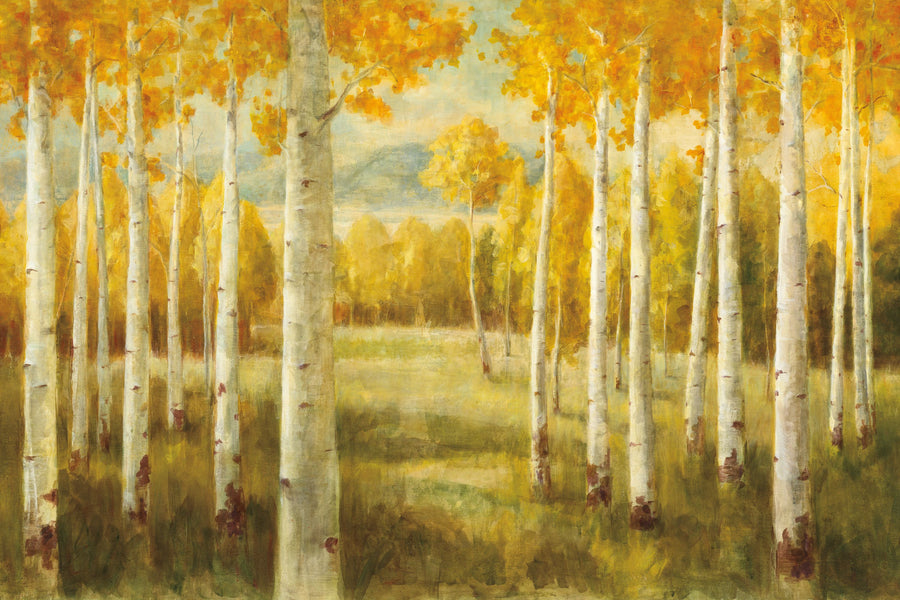 Aspen Birches Mural Wallpaper