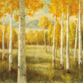 Aspen Birches Mural Wallpaper - pure wallpaper artwork