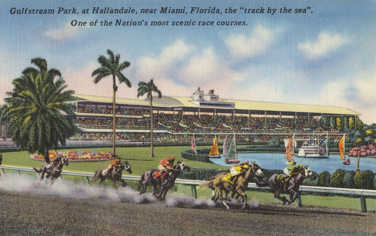 Greetings From Gulfstream Park Mural Wallpaper - pure wallpaper artwork