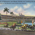 Greetings From Gulfstream Park Mural Wallpaper - pure wallpaper artwork