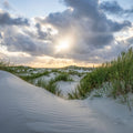 Hide and Seek Beach Mural Wallpaper - pure wallpaper artwork