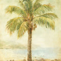 Mirage Palm II Mural Wallpaper - pure wallpaper artwork