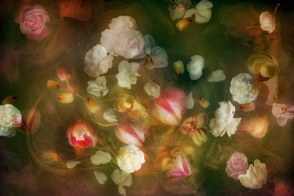 The Floral Golden Hour Mural Wallpaper - pure wallpaper artwork
