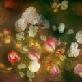 The Floral Golden Hour Mural Wallpaper - pure wallpaper artwork