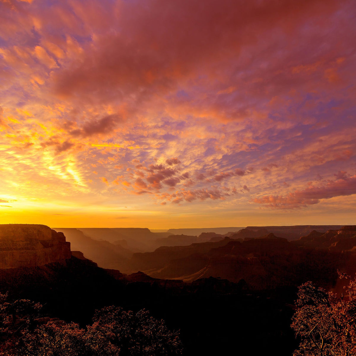 Grand Canyon Sunset Pink Mural Wallpaper - pure wallpaper artwork