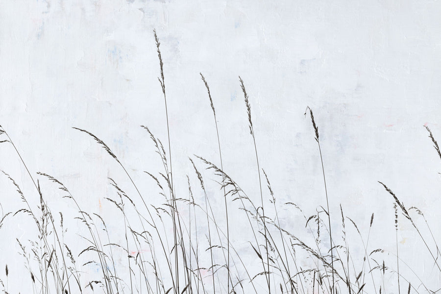Meadow Grass II Mural Wallpaper