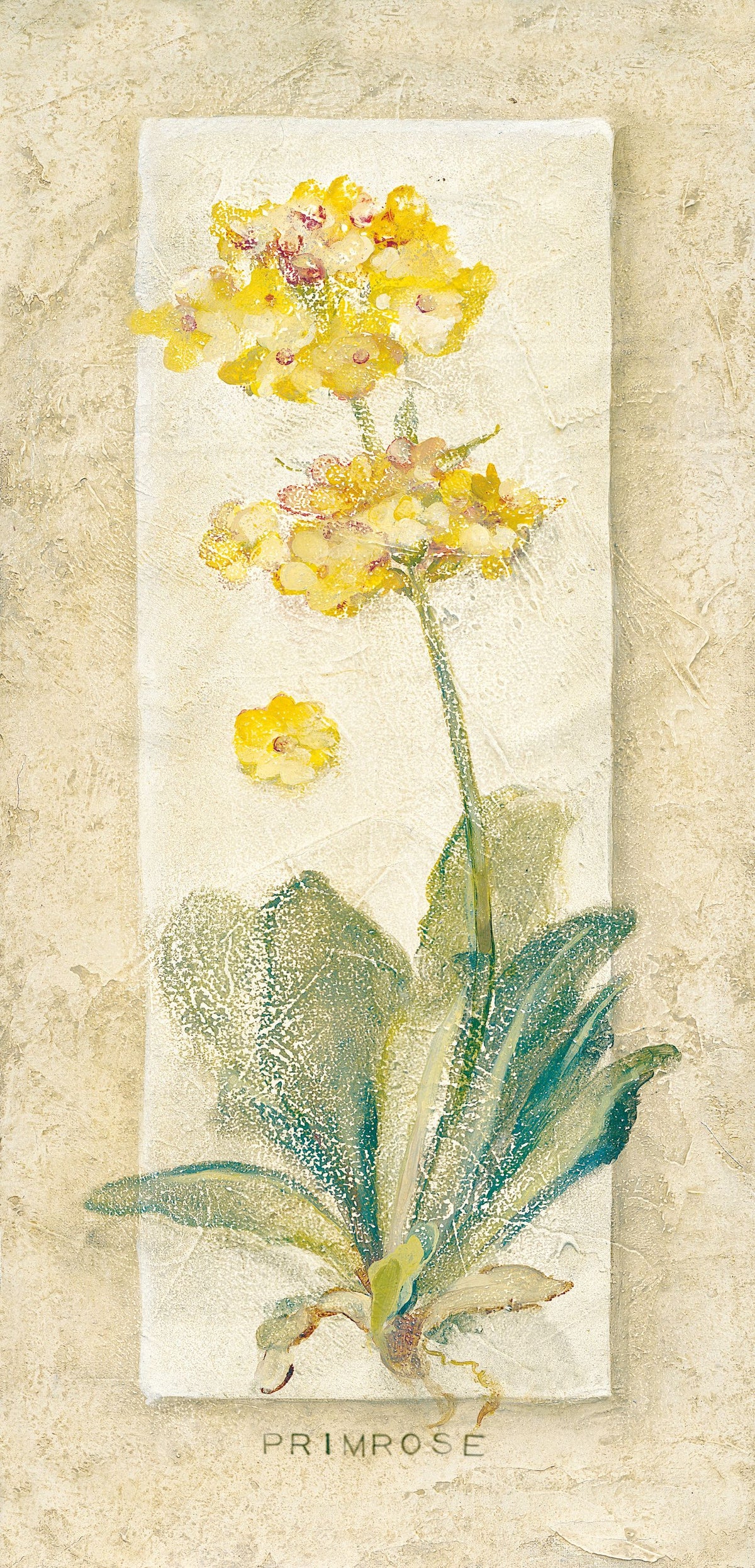 Primrose Light Mural Wallpaper - pure wallpaper artwork