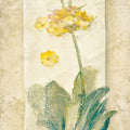 Primrose Light Mural Wallpaper - pure wallpaper artwork