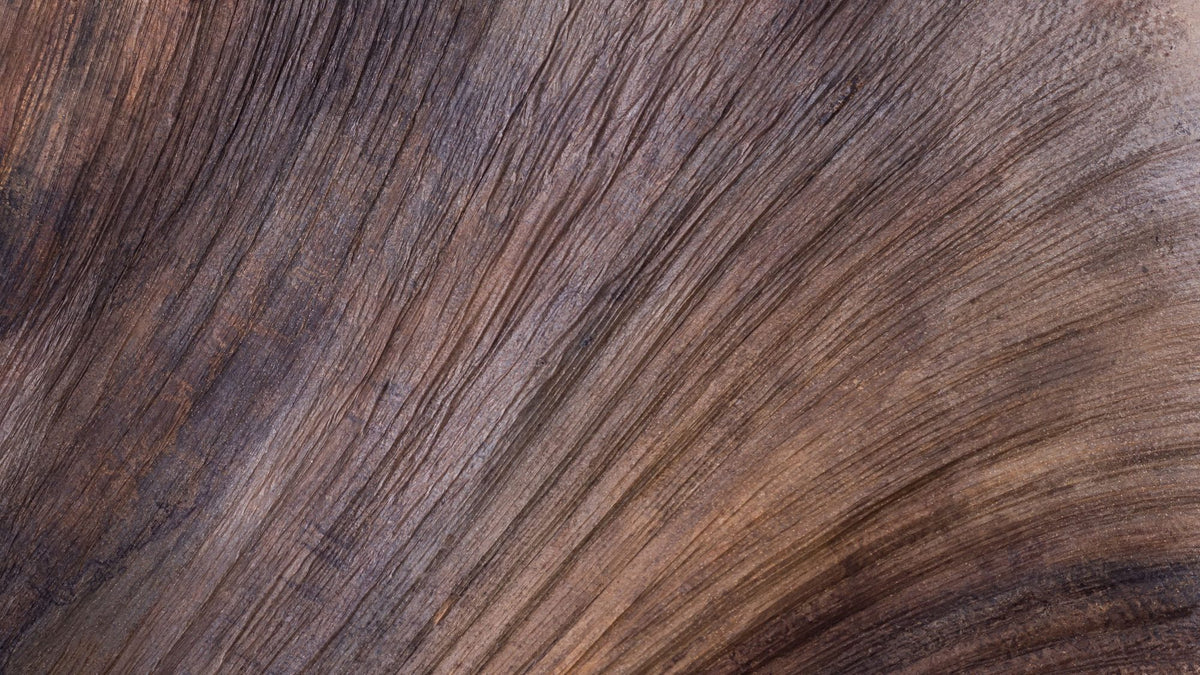 Timber Waves Mural Wallpaper - pure wallpaper artwork