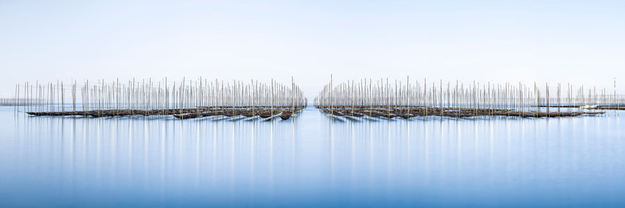 Ariake Sea Mural Wallpaper