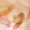 Dancing Leaves Mural Wallpaper - pure wallpaper artwork