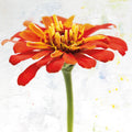 Wonderful Wildflowers IX Mural Wallpaper - pure wallpaper artwork
