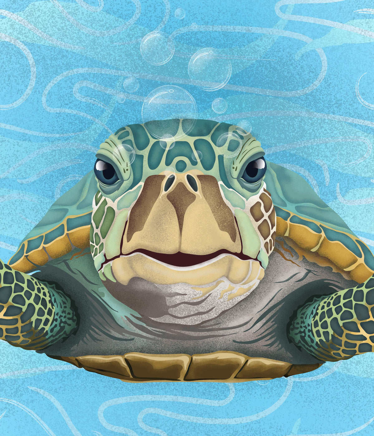 Hello Turtle, Light Blue Mural Wallpaper - pure wallpaper artwork