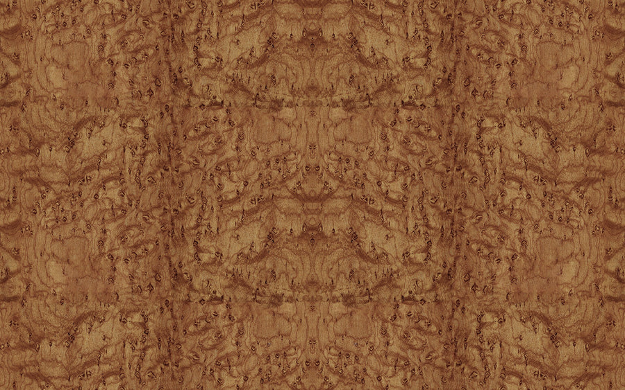 Burl Wood, Honey Mural Wallpaper