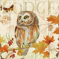 Owl Lodge II Mural Wallpaper - pure wallpaper artwork