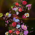 Summer Trail Mural Wallpaper - pure wallpaper artwork