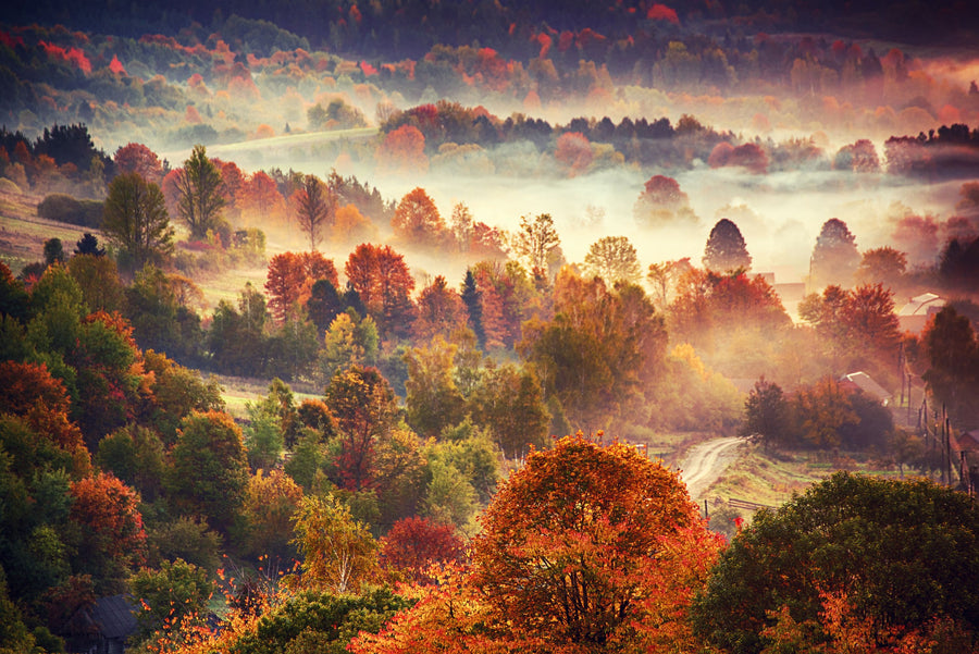 Autumn Mountain Morning Mural Wallpaper