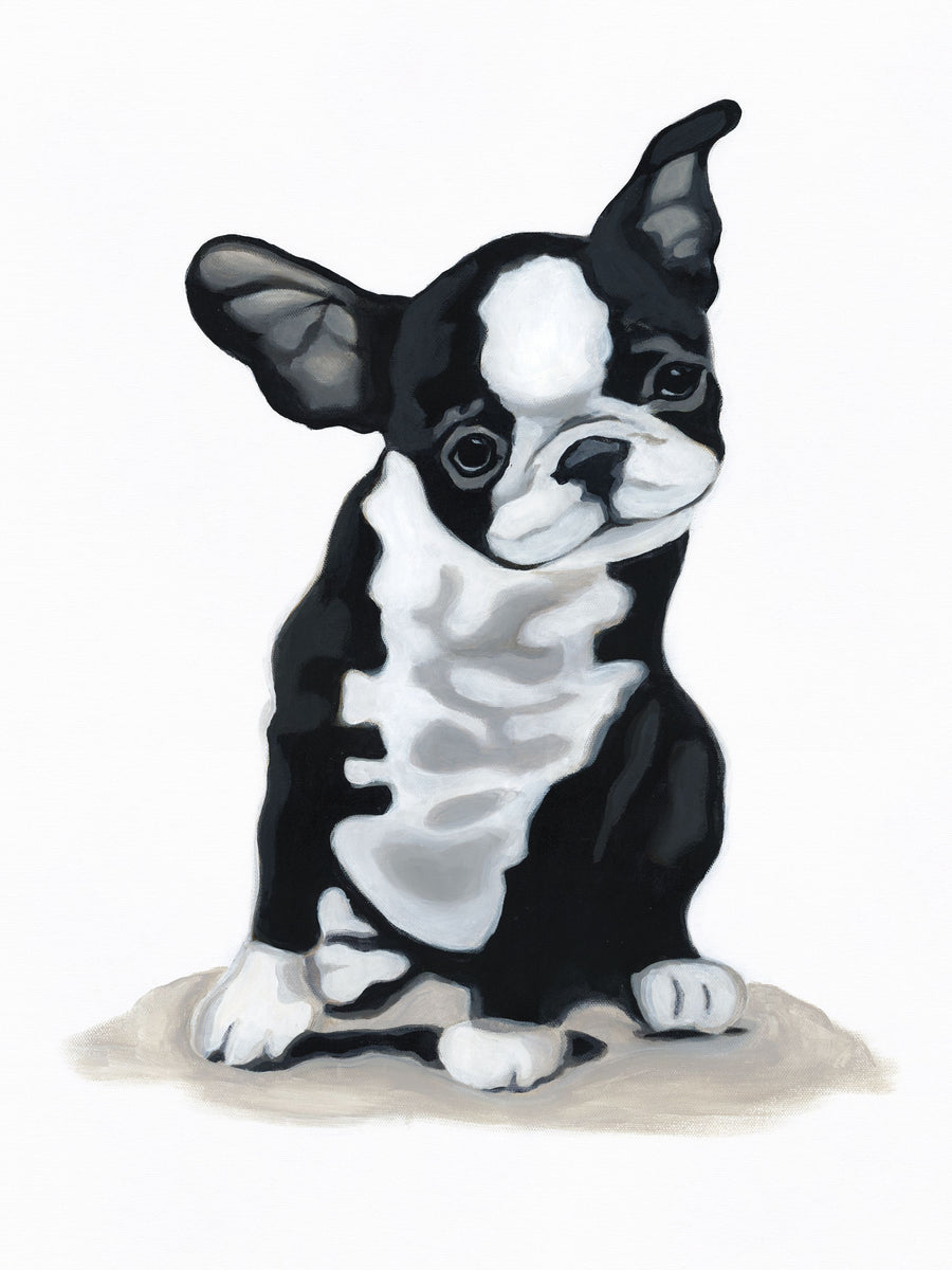 Puppy Rolls Mural Wallpaper