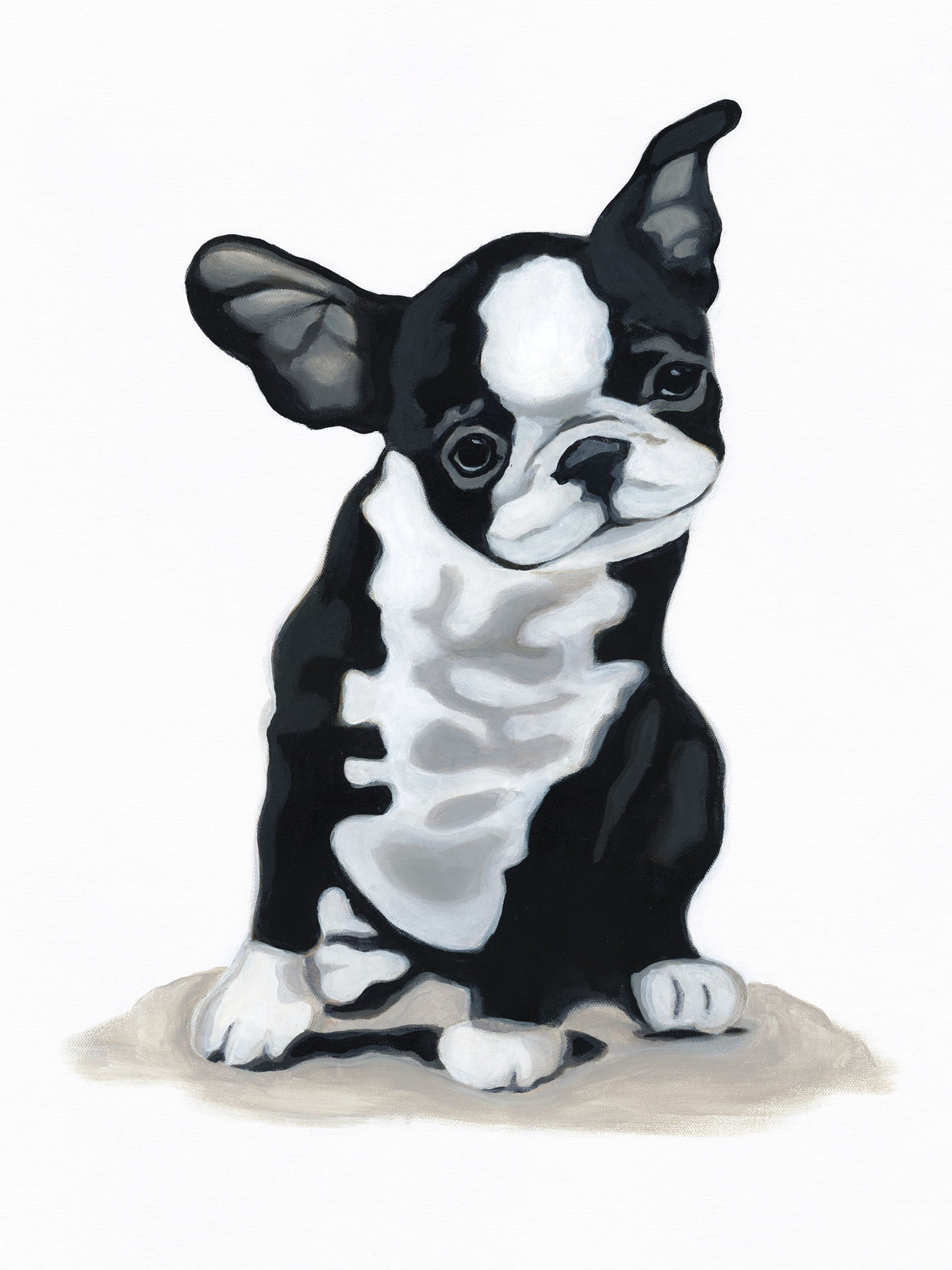 Puppy Rolls Mural Wallpaper - pure wallpaper artwork
