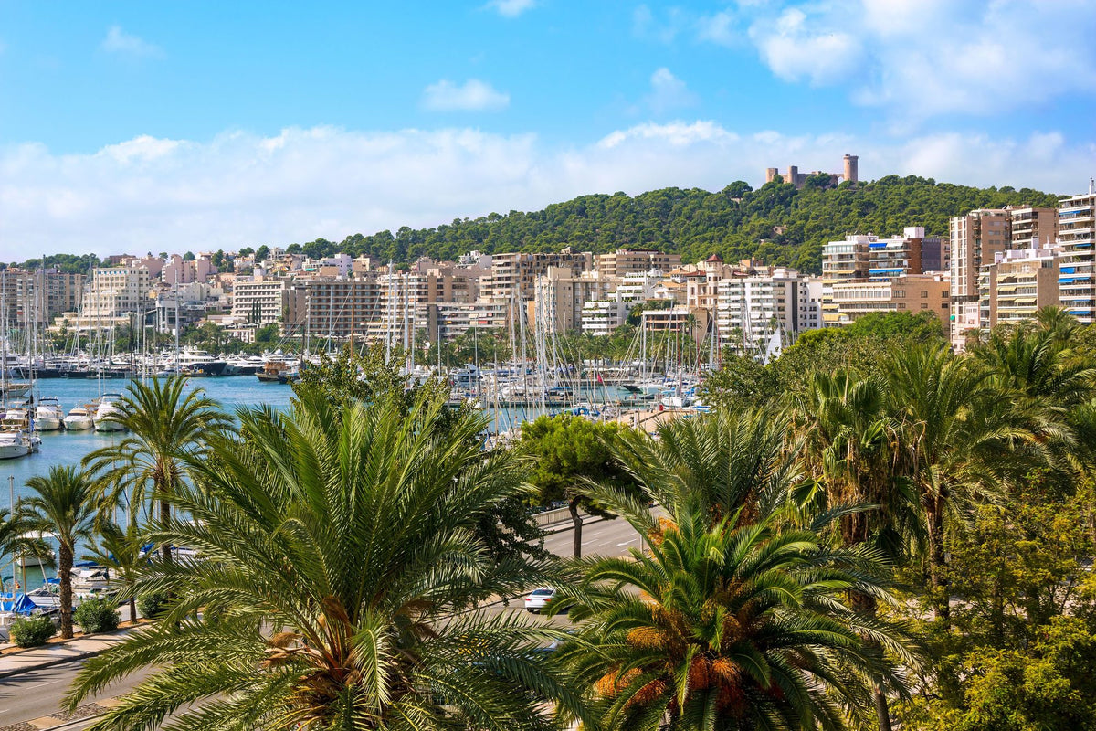 Palma De Majorca Harbor Mural Wallpaper - pure wallpaper artwork