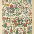 French Flower Chart Mural Wallpaper - pure wallpaper artwork