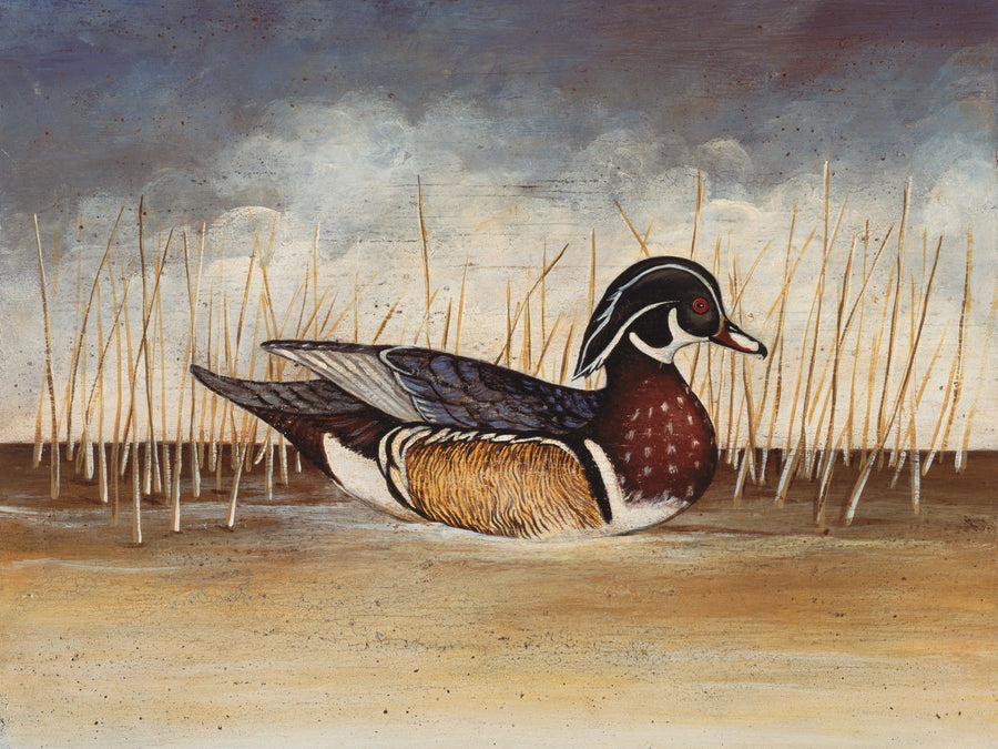 Wood Duck Mural Wallpaper
