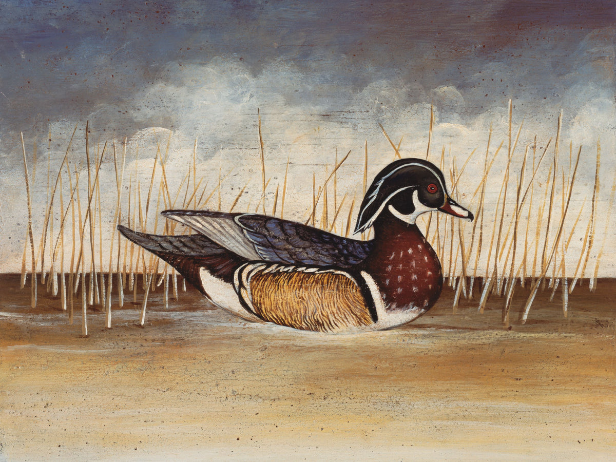 Wood Duck Mural Wallpaper - pure wallpaper artwork