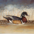 Wood Duck Mural Wallpaper - pure wallpaper artwork