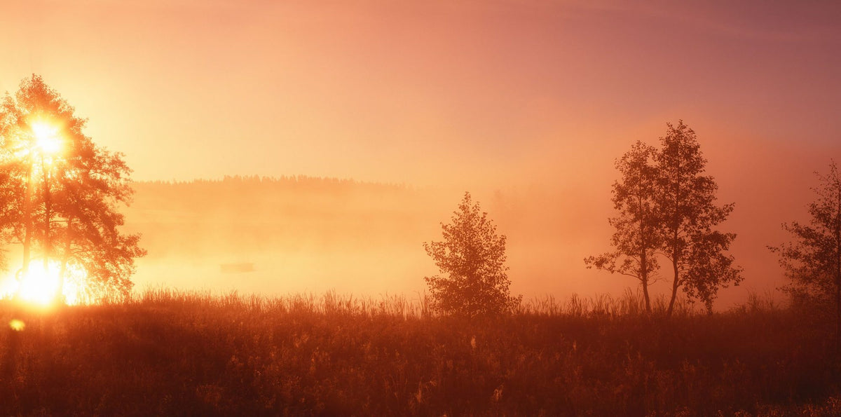 Sweden Sunrise Mural Wallpaper - pure wallpaper artwork