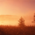 Sweden Sunrise Mural Wallpaper - pure wallpaper artwork