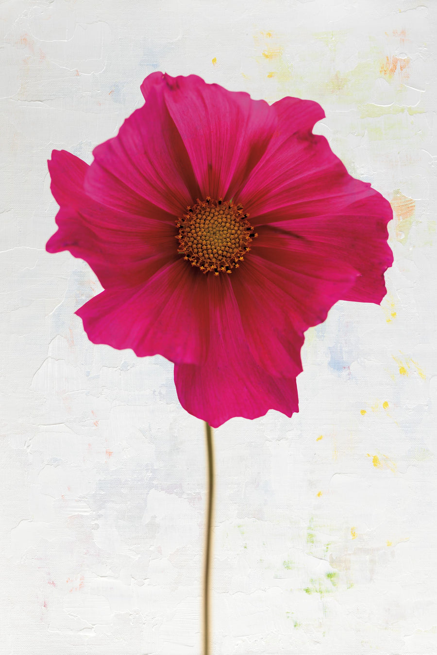 Wonderful Wildflowers II Mural Wallpaper