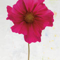 Wonderful Wildflowers II Mural Wallpaper - pure wallpaper artwork