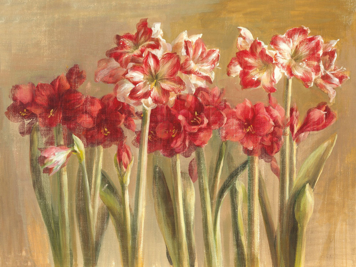 Winter Amaryllis Mural Wallpaper - pure wallpaper artwork