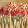 Winter Amaryllis Mural Wallpaper - pure wallpaper artwork