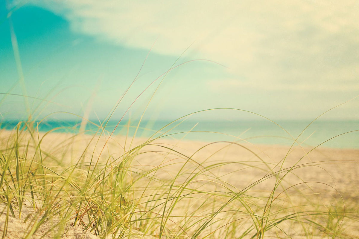 Beach Grass Mural Wallpaper - pure wallpaper artwork