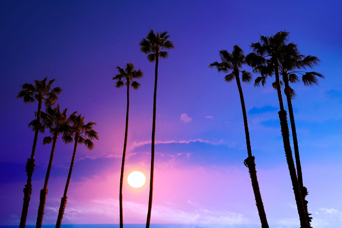 Huntington Beach Sunset Mural Wallpaper - pure wallpaper artwork