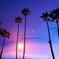 Huntington Beach Sunset Mural Wallpaper - pure wallpaper artwork