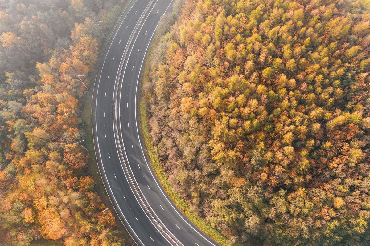 Autumn Canopy Road Mural Wallpaper - pure wallpaper artwork