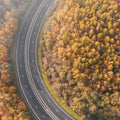Autumn Canopy Road Mural Wallpaper - pure wallpaper artwork